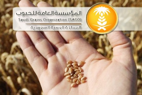 المؤسسة العامة للحبوب تطرح مناقصة لاستيراد 660 ألف طن شعير علفي