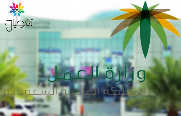 «العمل»: إطلاق تحديثات جديدة على قواعد عمل نظام «حماية الأجور»