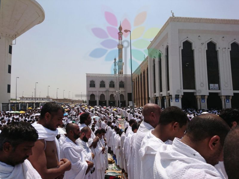 عدسة " الدمجاني " ترصد وقوف ضيوف الرحمن على صعيد عرفات الطاهر