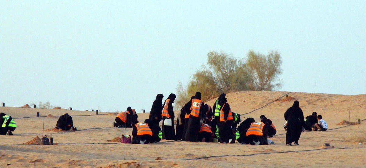 تفاعل أهالي عنيزة مع مباردة التشجير بزراعة 1500شتلة