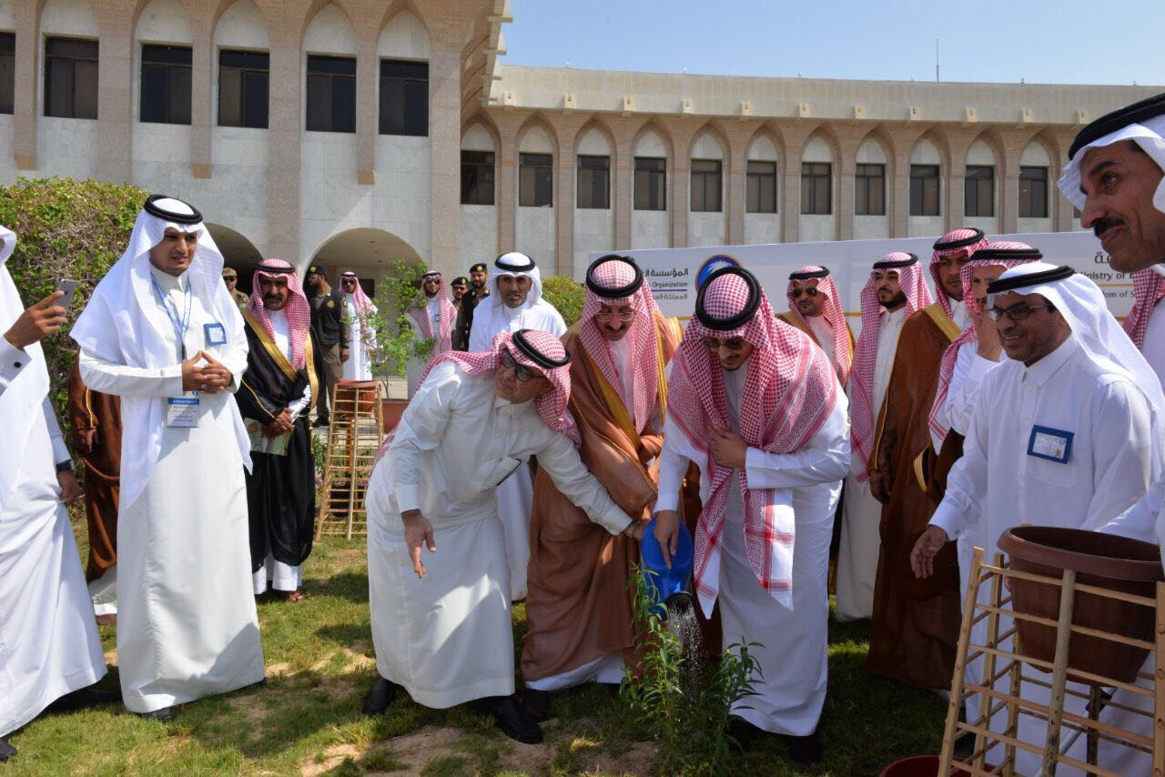 مليون شجرة بمنتزة الاحساء الوطني يوم الأربعاء ٥ صفر ١٤٣٩هـ