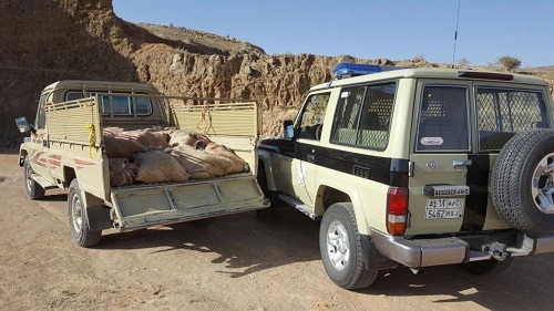 بالصور.. "المجاهدون" يطيحون بمئات المتسللين.. ويضبطون أسلحة وممنوعات بالآلاف في عسير