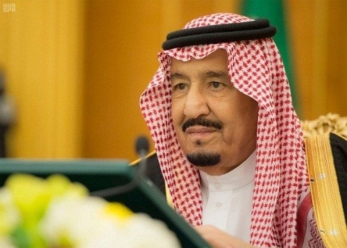 مجلس الوزراء: إلزام ملاك الإبل بوضع الشريحة الإلكترونية لترقيم الحيوانات