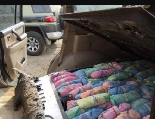 بالصور.. إحباط تهريب 28 كغم من الحشيش و135 متسللاً