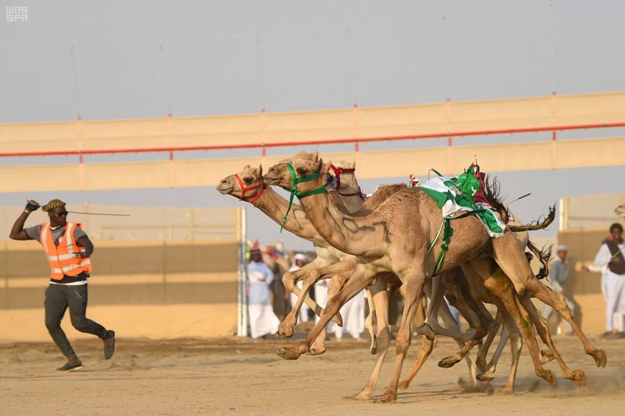 نتائج الفترة المسائية للمرحلة التنشيطية الأولى لمهرجان ولي العهد للهجن