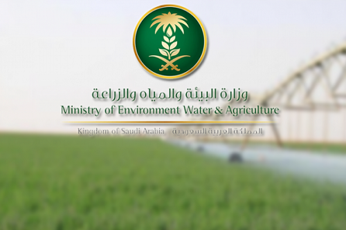 رفع غرامة مخالفات البيئة من 10 آلاف إلى مليون ريال