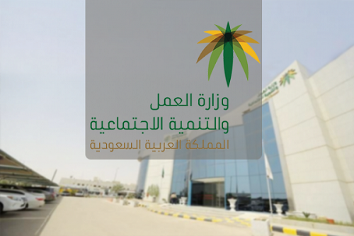 «العمل» تعتمد الدليل الإرشادي لقرار توطين منافذ البيع بـ12 نشاطاً