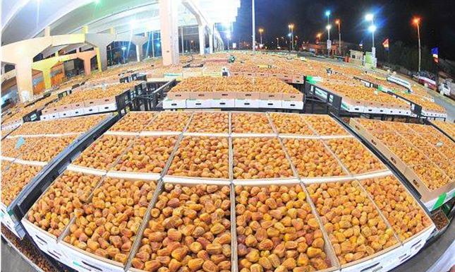 تمور الأحساء تُسجل بيع 130 طناً