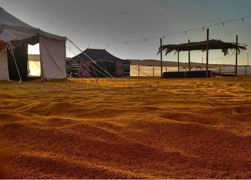 إقامة متنزه بري "مؤقت" على مساحة 6 ملايين م2 على طريق الدمام الرياض.. والحجز إلكتروني