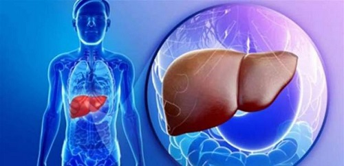 5 أطعمة تساهم في الوقاية من الإصابة بأمراض الكبد