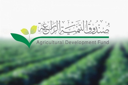 إعفاء 803 من مزارعي الدرع العربي بجازان من مديونيات تجاوزت 91 مليون ريال