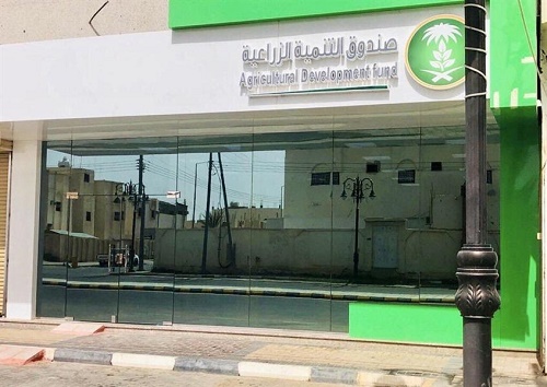 إعفاء 724 مزارعاً بتبوك من قروض تصل لأكثر من 10 ملايين ريال