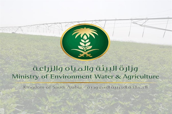 “البيئة” ترفع حظر استيراد المواشي الحية من إسبانيا وألبانيا