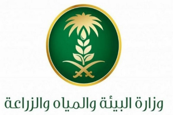 “البيئة” تؤكد السماح للقطاع الخاص باستيراد الشعير العلفي