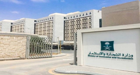 التجارة ضمن الفئة البلاتينية في نضج الخدمات الحكومية الرقمية
