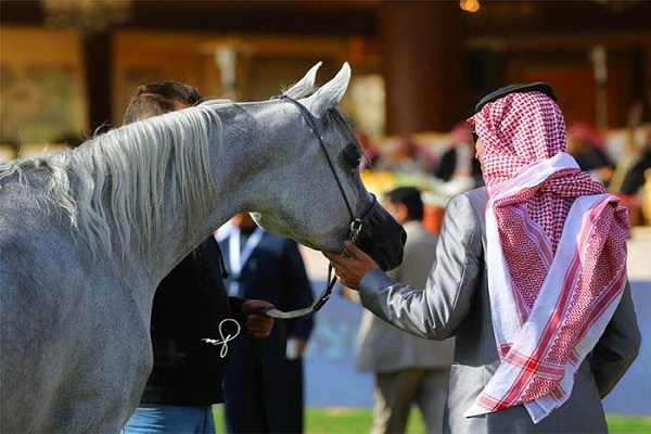 “البيئة” تتيح إصدار تصاريح استثناء منع التجول إلكترونيا لملاك الخيول