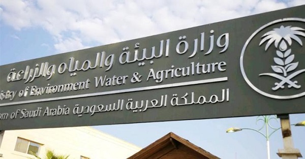 “البيئة”: فسح أكثر من 35.7 ألف طن من الخضراوات والفاكهة