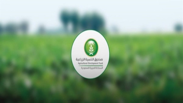 بعد إيقافها في السابق.. “الصندوق الزراعي” يبدأ اليوم استقبال طلبات القروض في مناطق الدرع العربي