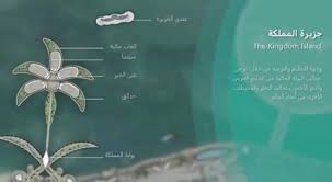 مشروع «جزيرة المملكة» غير مرخص ولا يتبع رؤية 2030