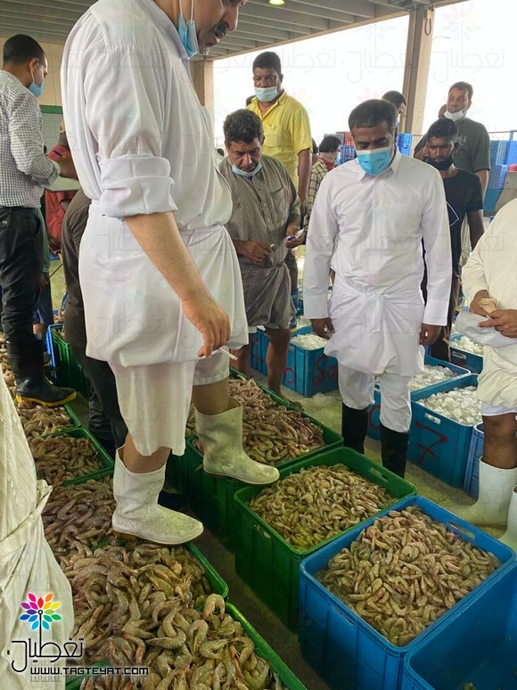 الجبيل..تنظيم وتهيئة سوق السمك لعمل المواطنين بدون تستر بالمحلات (فيديو وصور)