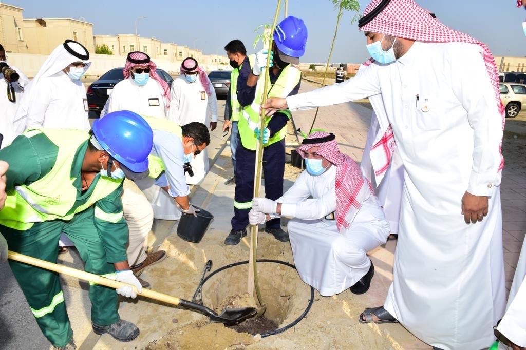 الجبيل الصناعية.."المهدي" يشارك بحملة غرس أكثر من 9 آلاف شجرة وشجيرة في جلمودة