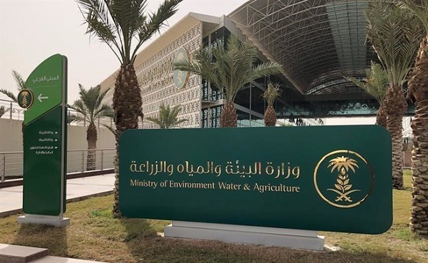 “البيئة” تطلق حملة “لنجعلها خضراء” في 165 موقعاً لزراعة 10 ملايين شجرة