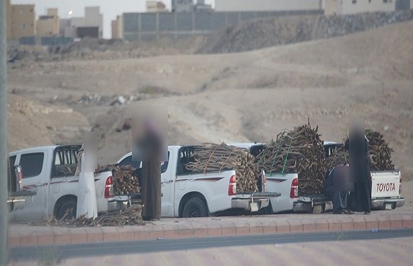 أمن الطرق يضبط 20 شخصاً وعدد 20 شاحنة بحمولاتها من الحطب المحلي المعدة لغرض البيع مخالفة للأنظمة