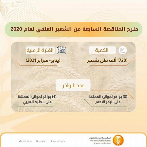 المؤسسة العامة للحبوب تطرح مناقصة لاستيراد “720” ألف طن شعير