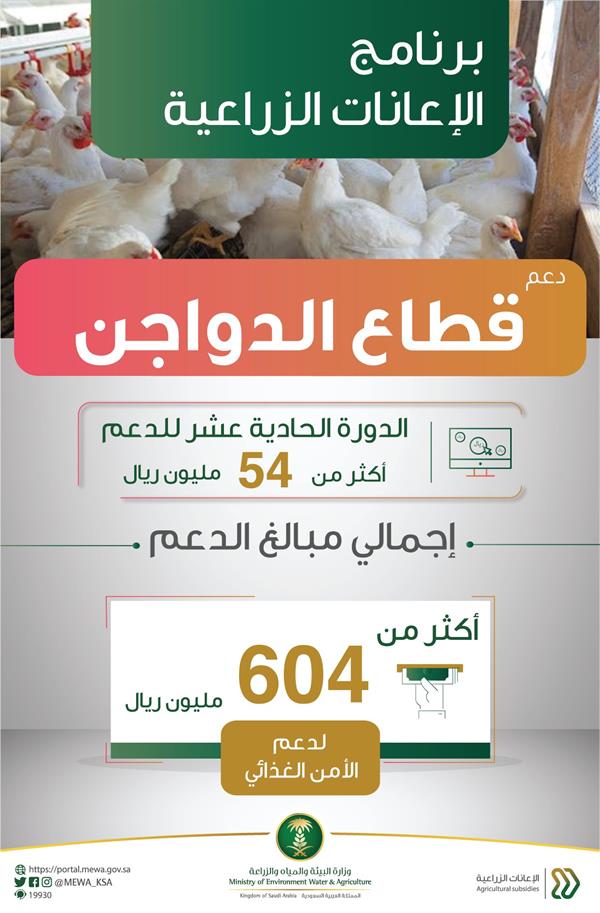 "البيئة": إيداع أكثر من 54 مليون ريال في حسابات مربي الدواجن