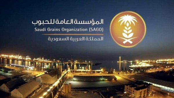 “الحبوب” تطرح مناقصة لاستيراد 540 ألف طن من الشعير