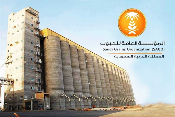 إيداع 31 مليون ريال في حسابات مزارعي القمح المحلي