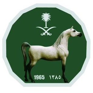 ارتفاع تصنيف "الفروسية السعودية" إلى الثاني عالمياً
