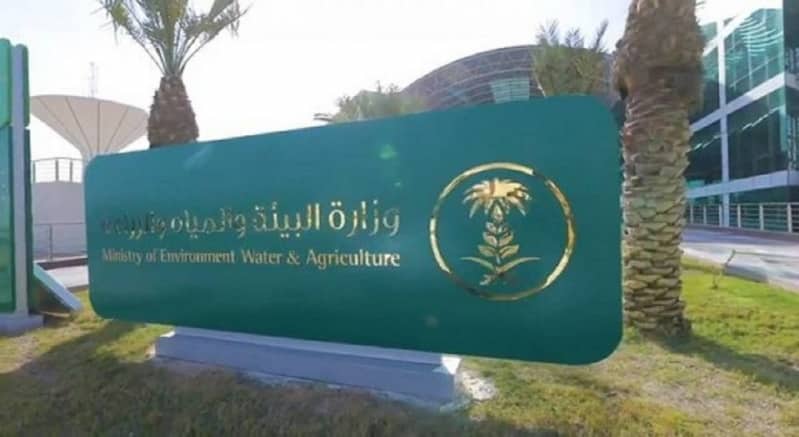 تغريم مخالفي نظام الرفق بالحيوان 50 ألف ريال