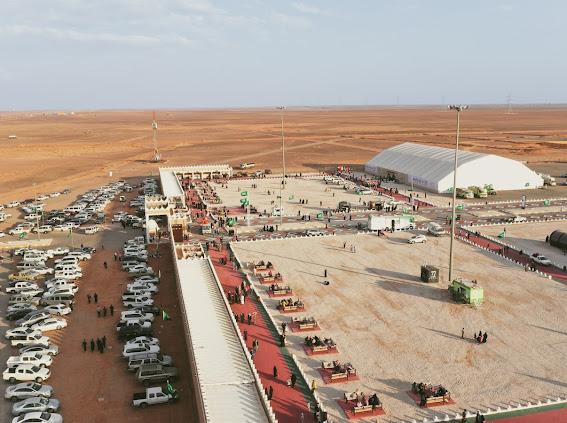 مهرجان الصقور بالحدود الشمالية: 10 آلاف زائر
