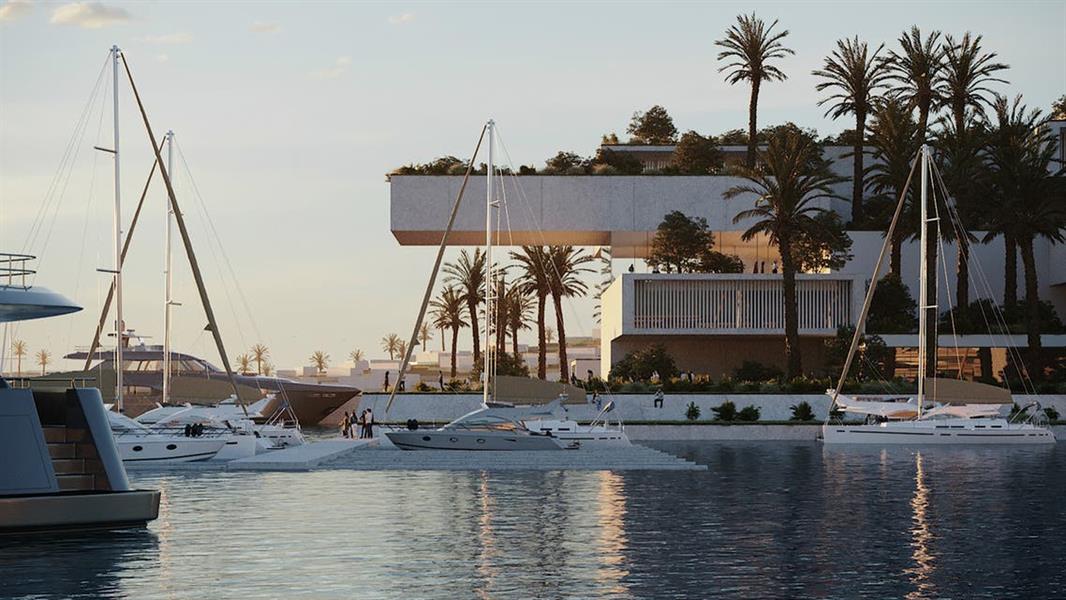 الوقود الحيوي البحر الأحمر: طاقة مستدامة