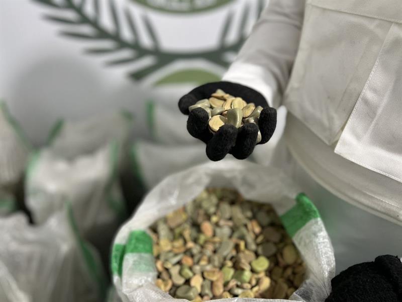 تهريب أمفيتامين في جدة: إحباط محاولة تهريب