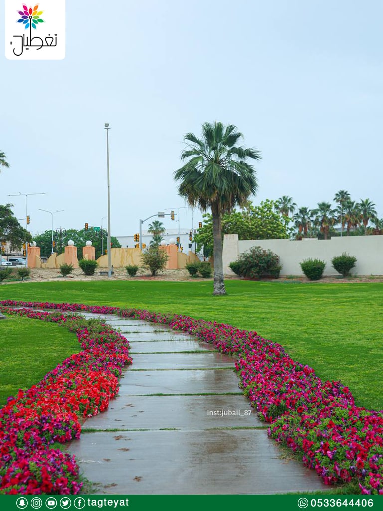 صور الجبيل الصناعية: جمال لا يضاهى