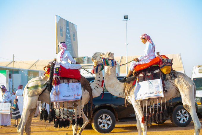ركايب صحة حائل تعيد دور الإبل في نقل المرضى والمصابين قديمًا