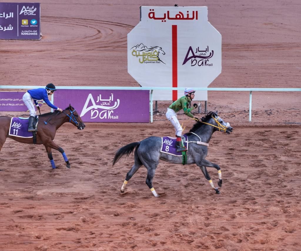 "أنا الجابر " يتوج بكأس الحفل الرابع في ميدان حائل