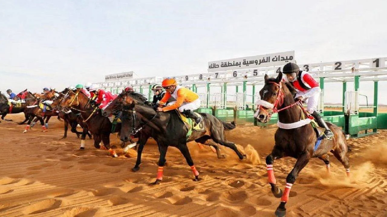 " عايفة" تظفر بكأس الحفل الثالث في ميدان الفروسية بحائل