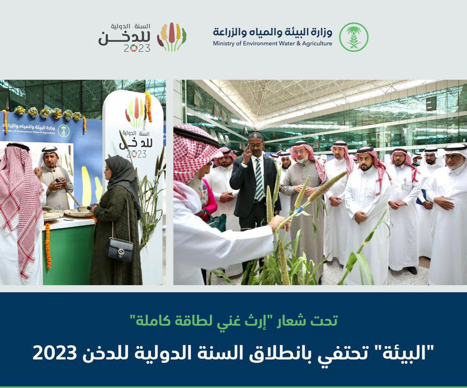 "البيئة": الدُخن محصول أكثر ملائمة للتطوير مستقبلًا لتعزيز الأمن الغذائي بالمملكة