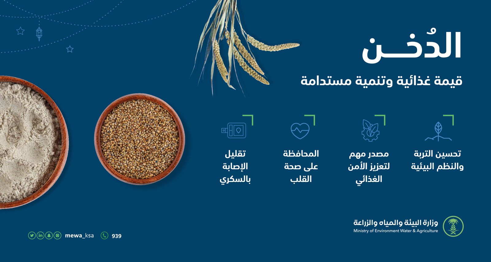 "البيئة": استخدام التقنيات الحديثة لتطوير زراعة الدُخن وزيادة إسهامه في الأمن الغذائي