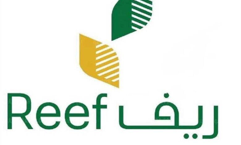 ريف السعودية": ارتفاع عدد الحيازات الزراعية الصغيرة المدعومة لأكثر من 31 ألف حيازة