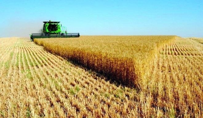 لتعزيز الأمن الغذائي السعودي .. اعتماد 748 مليون ريال قروض زراعية