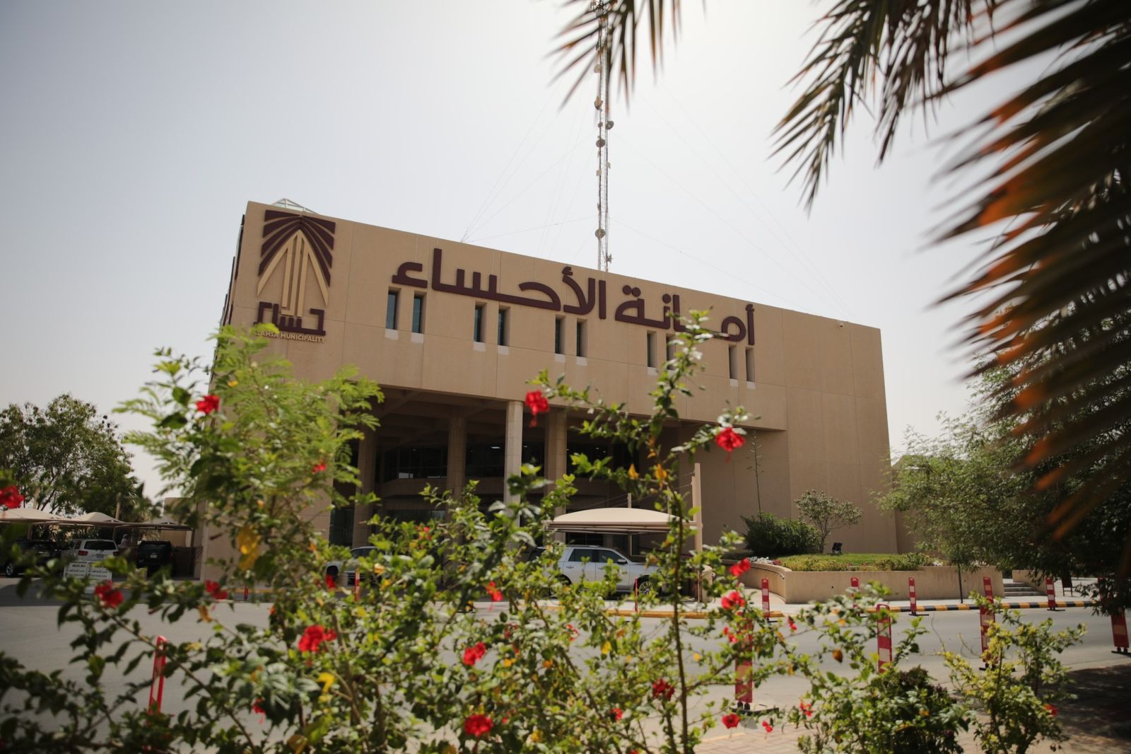 نزع ملكيات لتطوير الطرق وتُخصّص 213 موقعاً لـ ( المُخيمات الشتوية ) بالأحساء