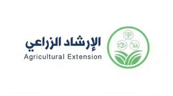 "الإرشاد الزراعي" يوضح أهم العلامات الخارجية لنضج ثمار البطيخ وصلاحيتها للحصاد