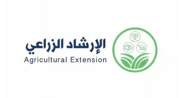 "الإرشاد الزراعي": حصاد ثمار اللوز الجاف يستمر بهذه المناطق حتى سبتمبر حسب الصنف