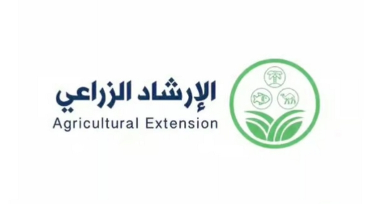 "الإرشاد الزراعي" ينصح بعدم زراعة أشجار الحمضيات في الأراضي الطينية الثقيلة سيئة الصرف
