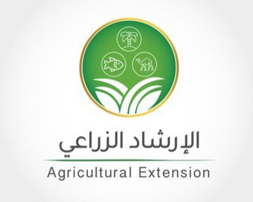 جودة وإنتاجية.. "الإرشاد" يُوصي مزارعي الخيار بتسميده بمشتقات "الفيرمي كمبوست"