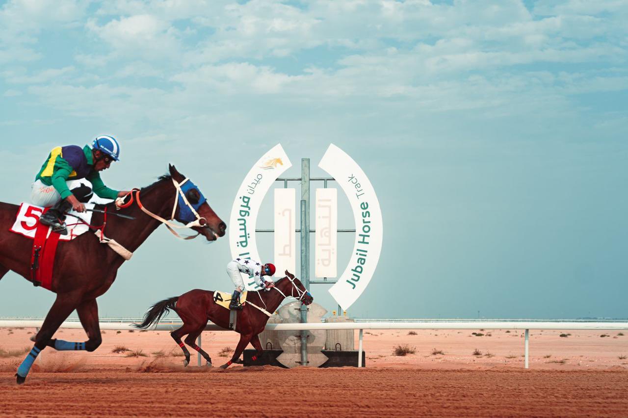 ميدان فروسية الجبيل يختم موسم سباقاته ١٤٤٦ هـ